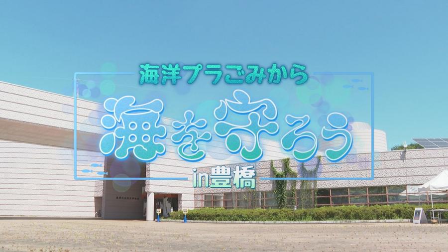 特別番組放送による番組変更のお知らせ｜お知らせ｜[ティーズ]豊橋ケーブルネットワーク