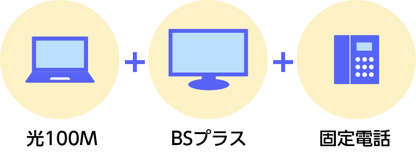 光100M＋BSプラス＋固定電話